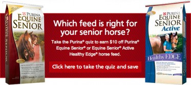 quiz quiz 373x166 Welcome to Ark Country Store