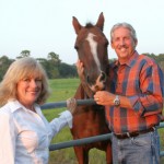 istock 000000914648xsmall2 150x150 Nutrition of the Aging Horse