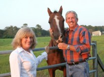 istock 000000914648xsmall2 205x153 Horse