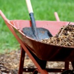 istock 000009308359xsmall 150x150 Master Gardener Tips  Winterizing Your Landscape
