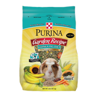 Guinea Pig Dry Food Recipe Guinea Pig Dry Food Recipe