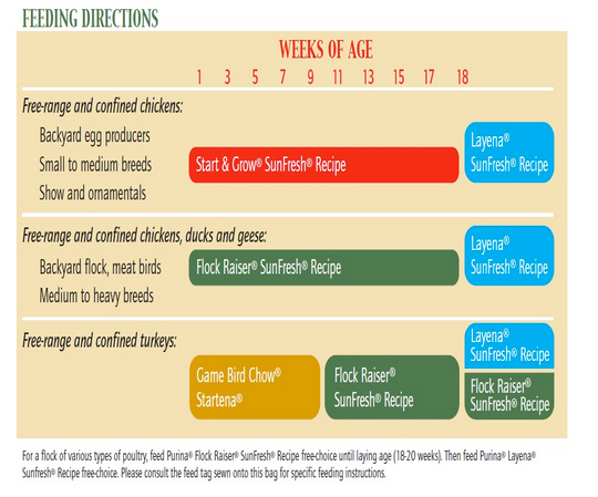 Chicken Feeding Chart