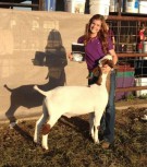 Sinclaire - Showmanship Champion-https://www.arkcountrystore.com/