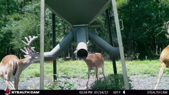 Antlermax ClimateGuard Supplement