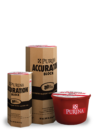 Purina Accuration Hi-Fat Block Available at Kissimmee Valley Feed